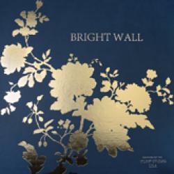  Coleção -  bright_wall