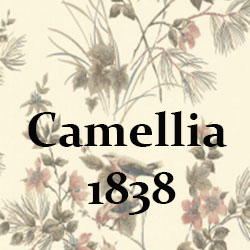 Coleção - Camellia-1838
